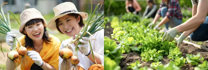 パートナーズ・サポーターズイメージ画像