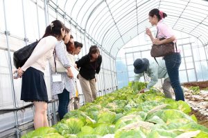 「新野菜」の需要創造プロジェクト！サカタのタネ『ハッピーベジタブル』第２弾を発表！