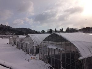 農業女子のお国自慢♪４８