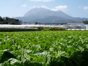 農業女子的春の風景2016