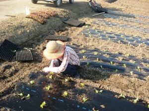 農業女子的こだわりアイテム