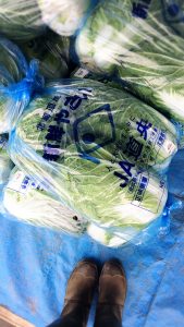 北海道漬け物シーズンに突入??