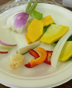 サカタのタネさん『ハッピーベジタブル試作研修会』