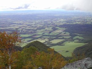 農業女子のお国自慢♪　第54回