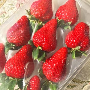 ＼SIMA2017にむけて出発しました♪／