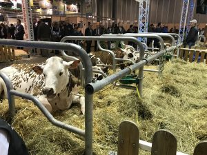 SIMA2017レポート⑤