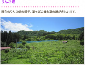 農魚女子的夏の風景2014：農業女子の特権！夏の極上圃場風景