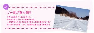 農業女子的春の風景2014：新しい命を育てる農業女子の春  仕事