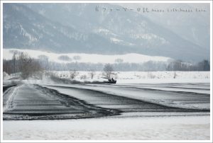 農業女子的春の風景2015