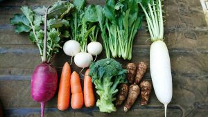 【GWはDNPプラザへ！農業女子マルシェを開催します♪】