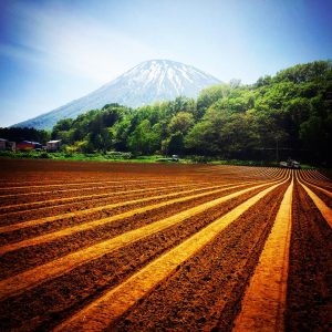 新年度も農業女子PJの魅力をご紹介♪