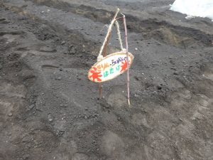 コンビ・コンビウィズのプロジェクトスタート！！