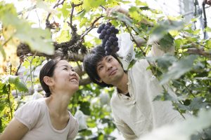 私の“生産物（おたから）”自慢　第５回