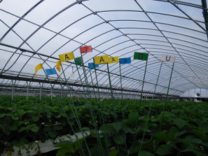 農業女子の知恵袋　第３回