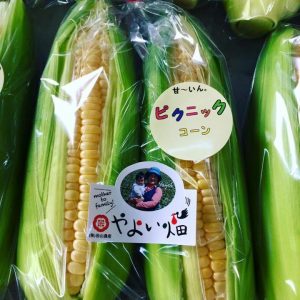 「私の"生産物(おたから)”自慢」第9回