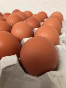 【私の”生産物（おたから）”自慢　第16回】