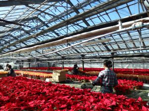 広がる、つながる･･･。