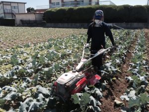 もうひとつのインターンシップ活動