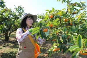 私、農業女子PJに入りました。第17回