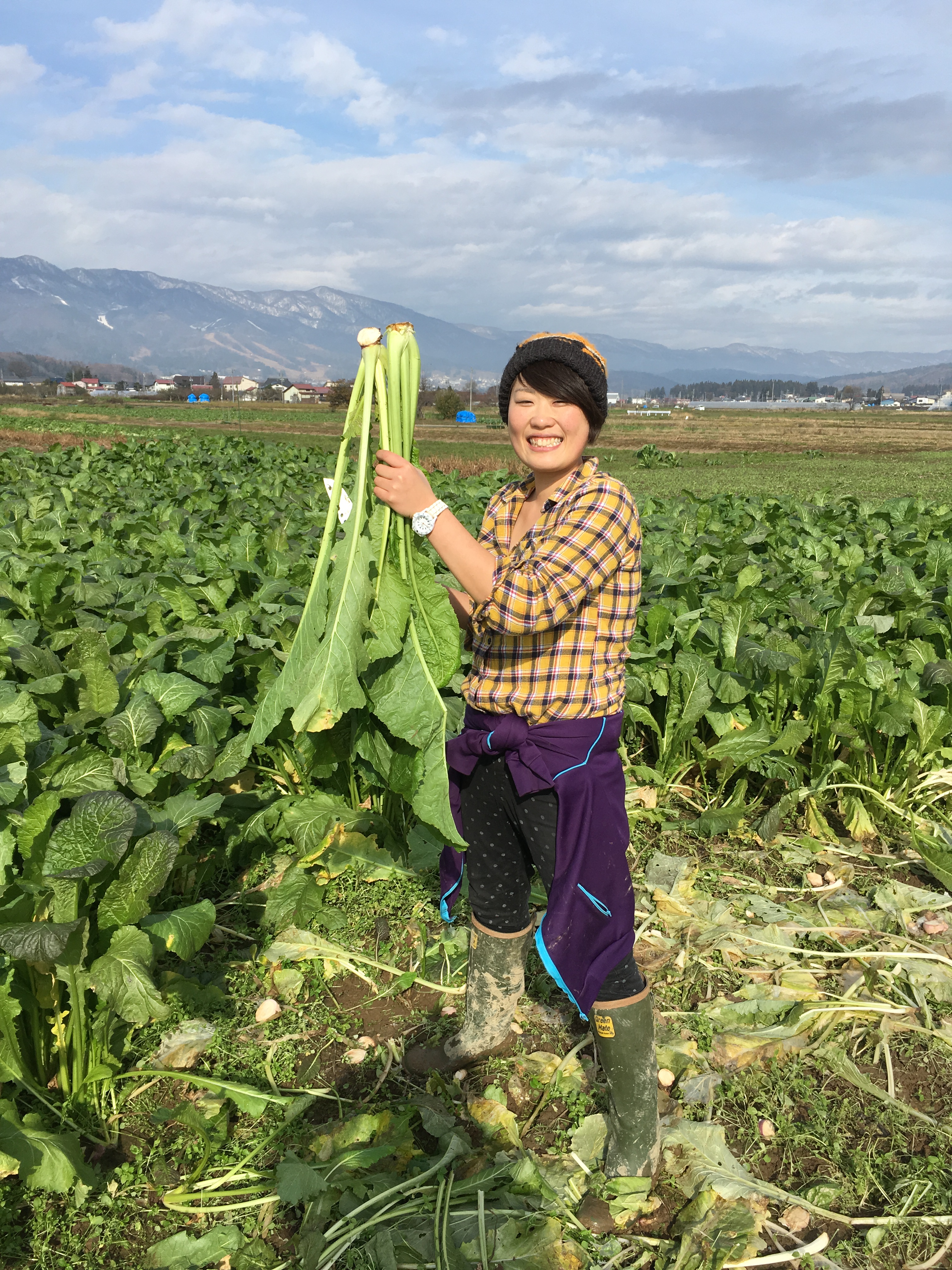 新着野沢菜 育て方 最高の花の画像