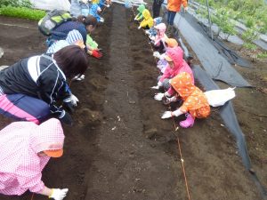 参画企業の部屋　第4回　コンビウィズ(株)