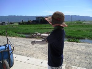 「農業女子Gloves」動画インタビュー編も！完成しました♪