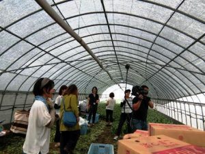 福岡農業女子「はぴふぁむ」の初研修会！