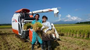 【私、農業女子PJに入りました。第54回】