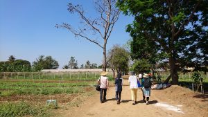 オーガニック農園『ハーモニー農園』見学☆タイ・バンコク商談会ツアー
