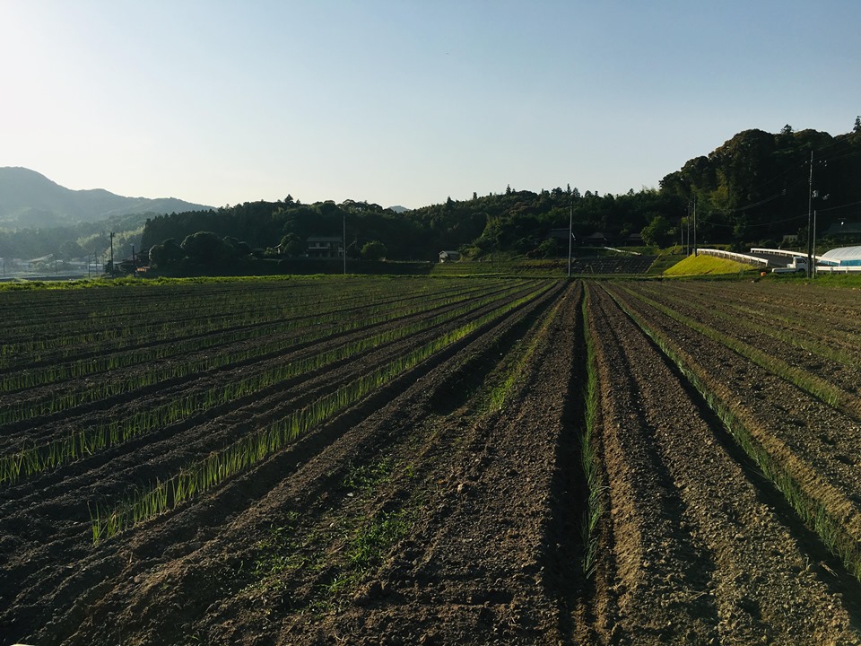 農業女子の知恵袋 第19回 農業女子的アイディア コラム 農業女子pj