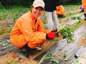 【私、農業女子PJに入りました。　第85回】