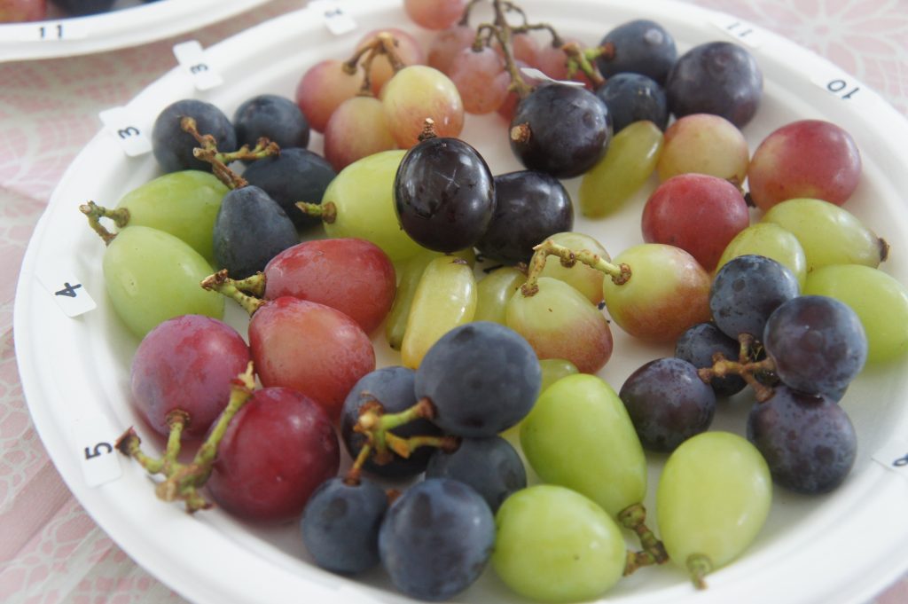 テイスティングプレート