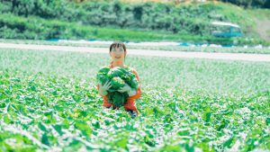 【私、農業女子PJに入りました。第100回】