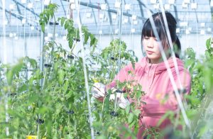 【私、農業女子PJに入りました。第98回】