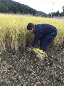 【私、農業女子PJに入りました。第101回】