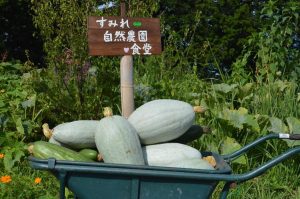 【私、農業女子PJに入りました。第109回】