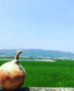 【農業女子メンバーのSDGs 第12回 SDGsを身近なものに。「その５自然によりそった持続可能な農業の実現に取り組む」】