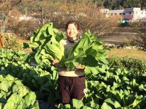 【私、農業女子PJに入りました。第138回】