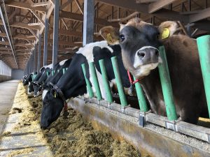 【農業女子メンバーのSDGs 第15回 SDGsを身近なものに。「その３ 働きやすい環境をつくり、地域の主要産業になることを目指す」】