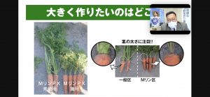 第2回「健康な野菜作り講習会」オンライン（Zoom）開催！【関東地区対象】
