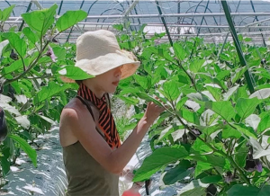 「私、農業女子PJに入りました。第147回」