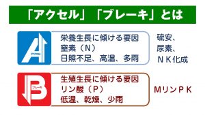第3回「健康な野菜作り講習会」オンライン（Zoom）開催！～やまがた農業女子ネットワーク（あぐっと）様と～